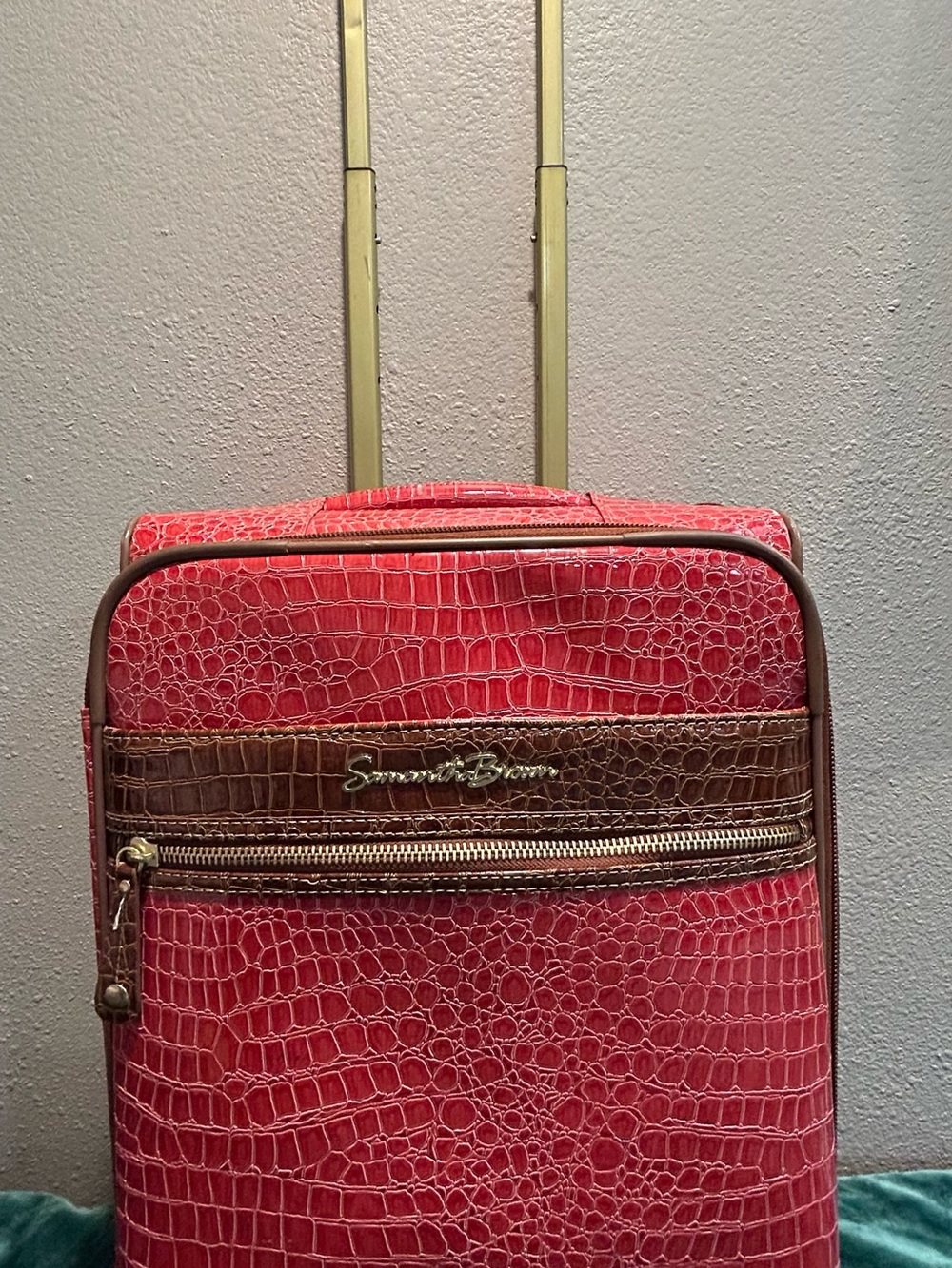 Samantha Brown Pink & Brown Croc-Embossed Carry-On